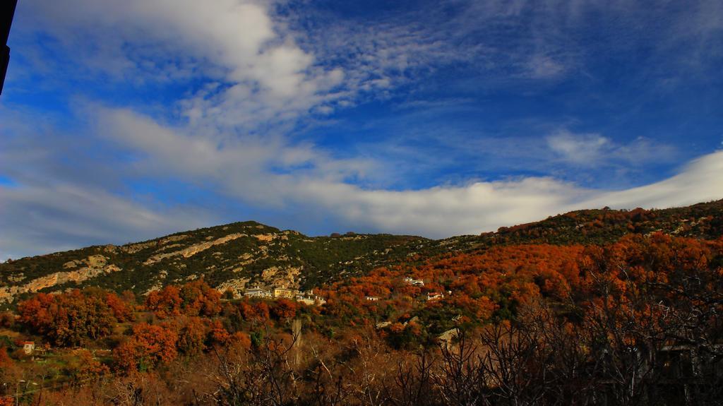 Archontiko Panagoula Otel Portariá Dış mekan fotoğraf